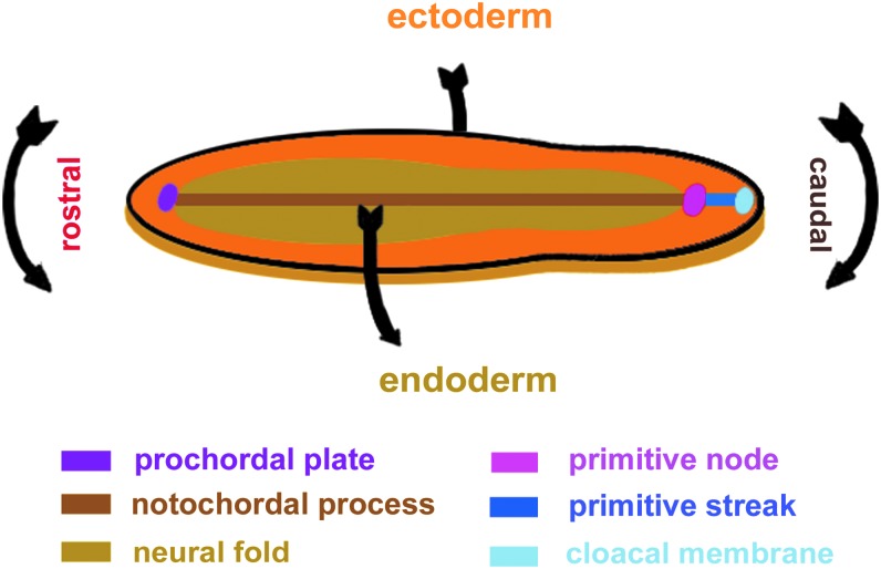 FIG. 1.