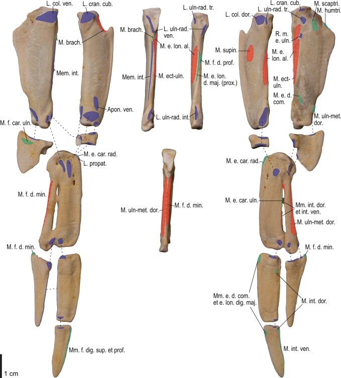 Fig. 23