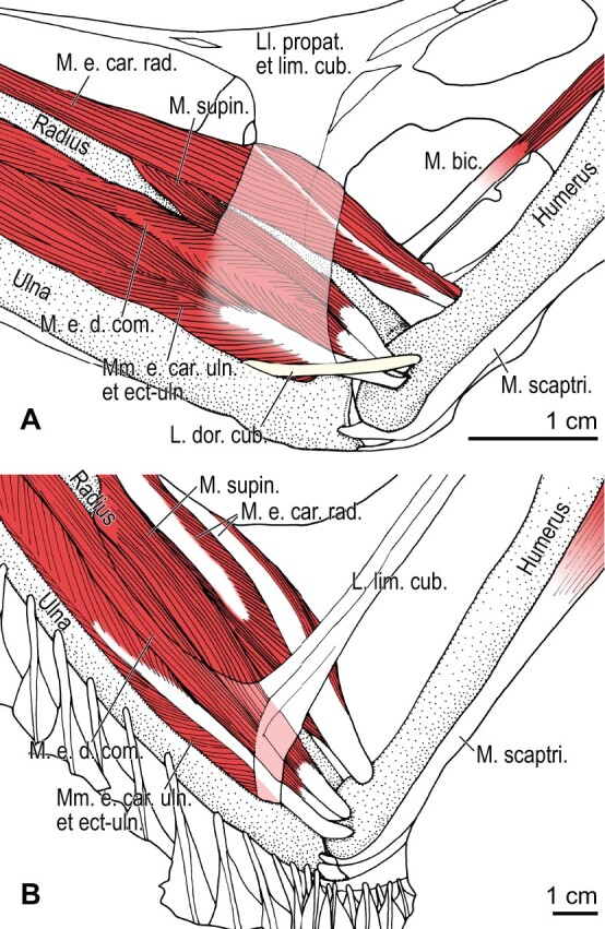 Fig. 44