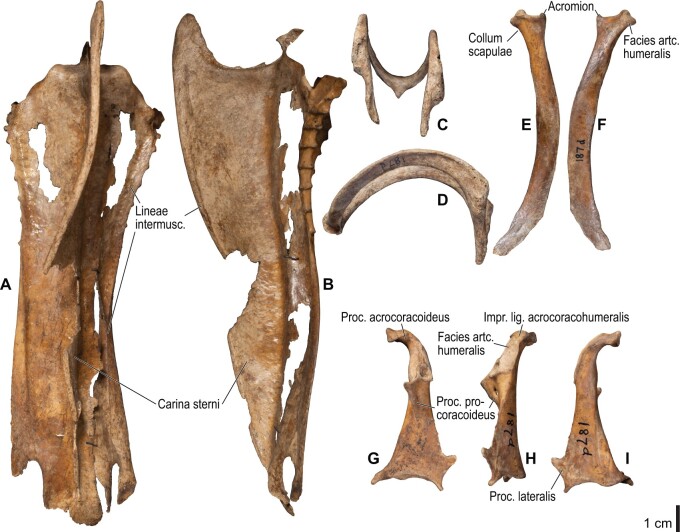 Fig. 24