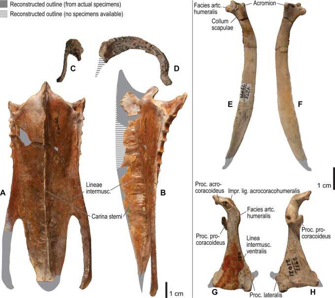 Fig. 30