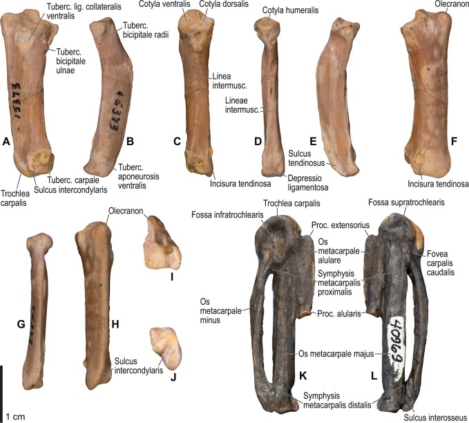 Fig. 34