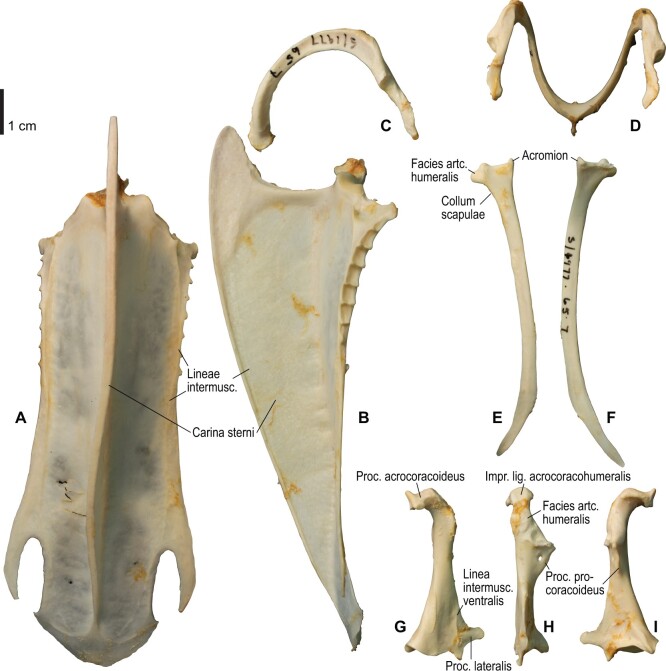 Fig. 10