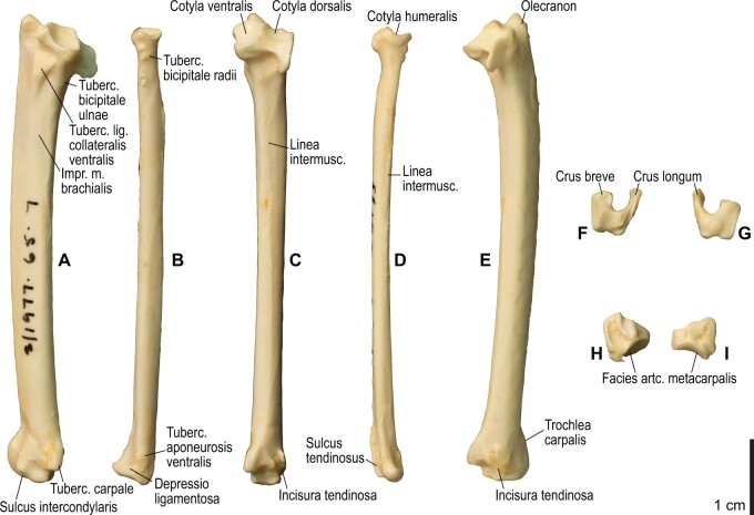 Fig. 14