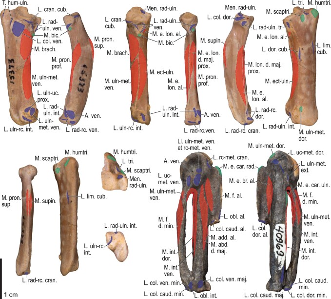 Fig. 35