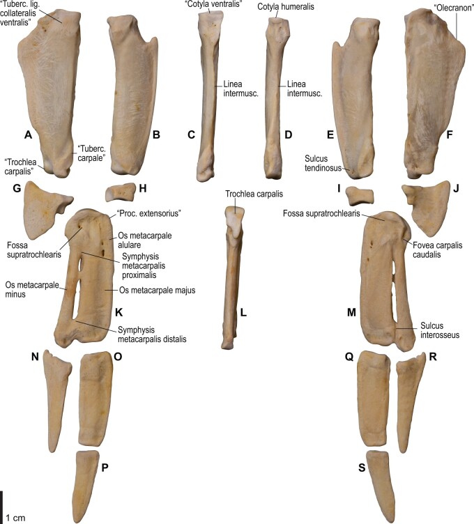 Fig. 22