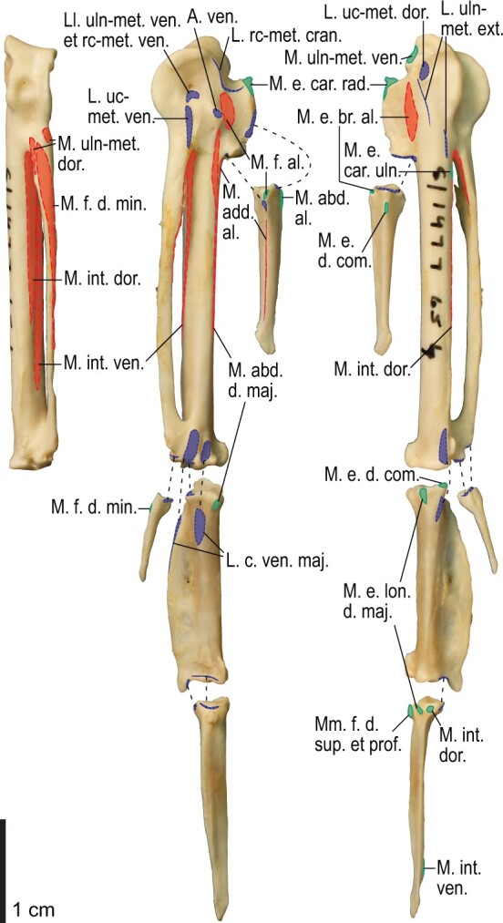 Fig. 17