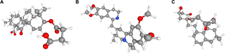 FIGURE 12