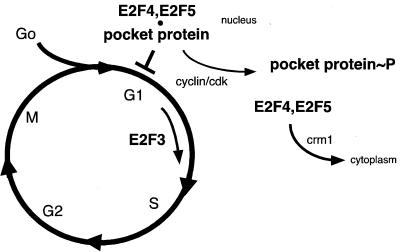 FIG. 6