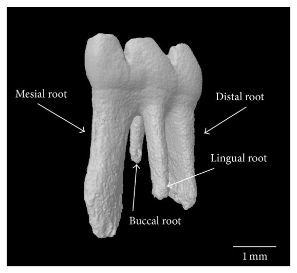 Figure 5