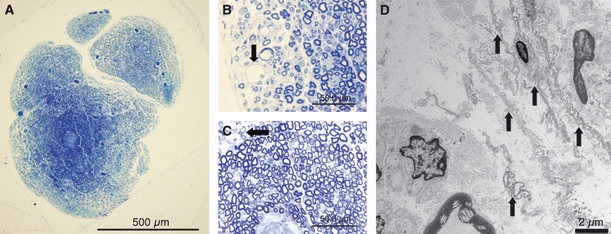 Fig. 9