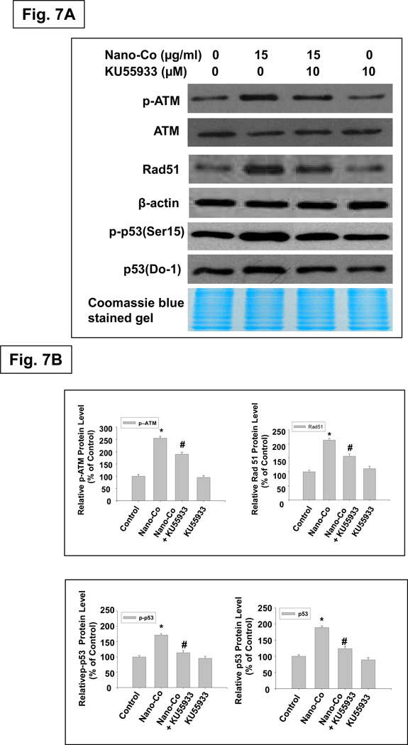 Fig. 7