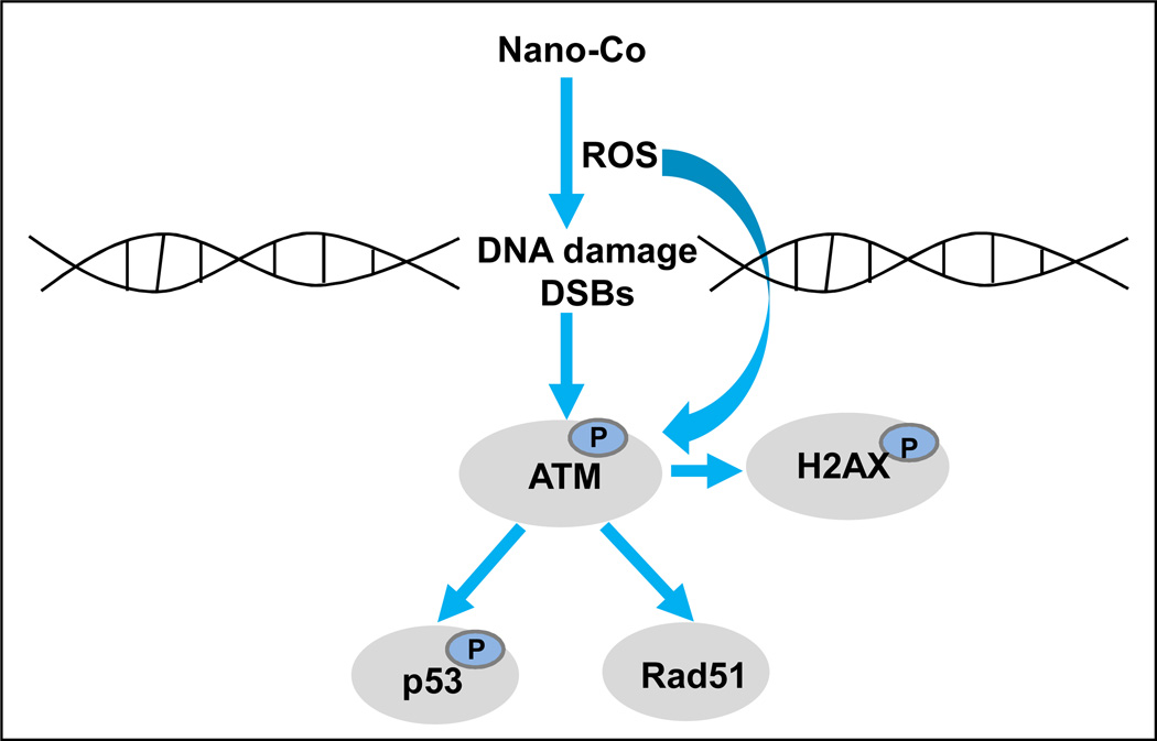 Fig. 9