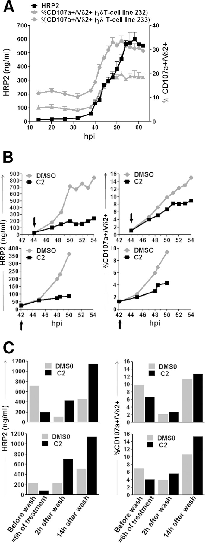 FIG 4