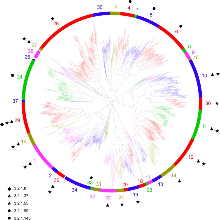 FIG 1