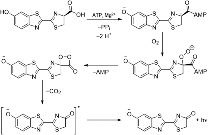 FIG. 4.