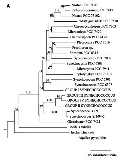 FIG. 1