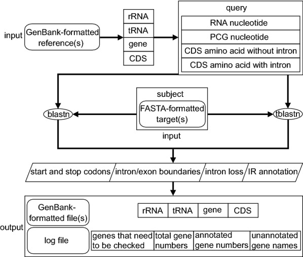 Fig. 1