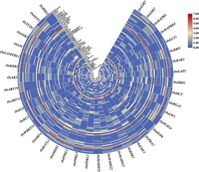 FIGURE 4