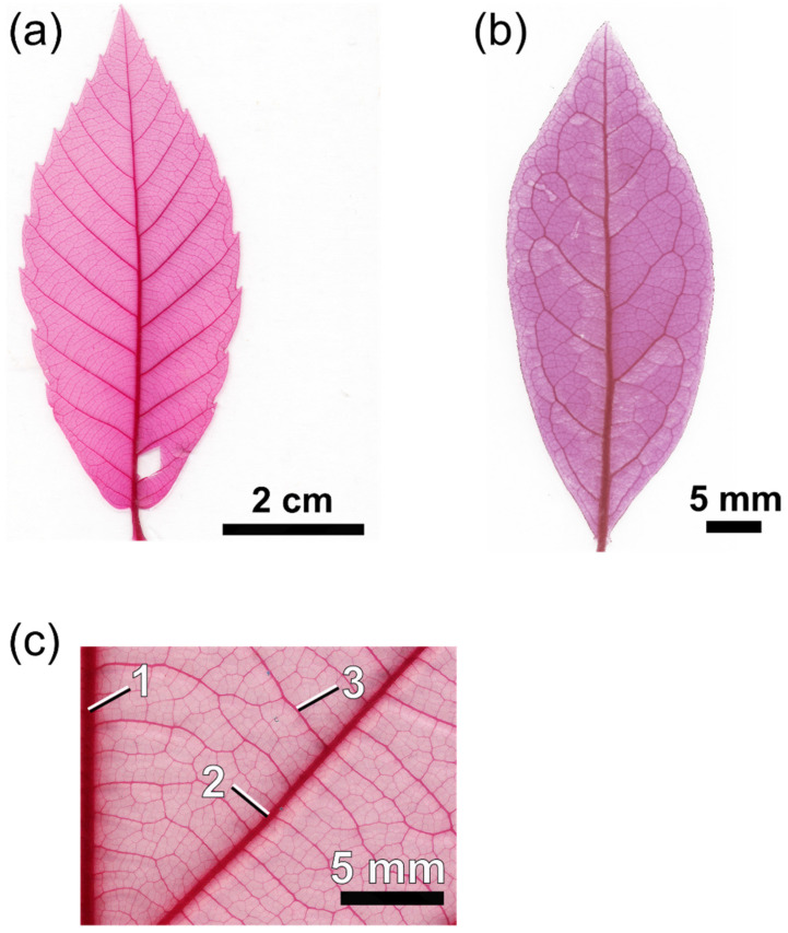 Figure 10