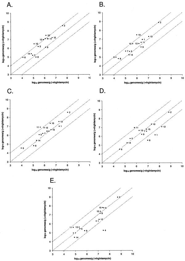 FIG.2.