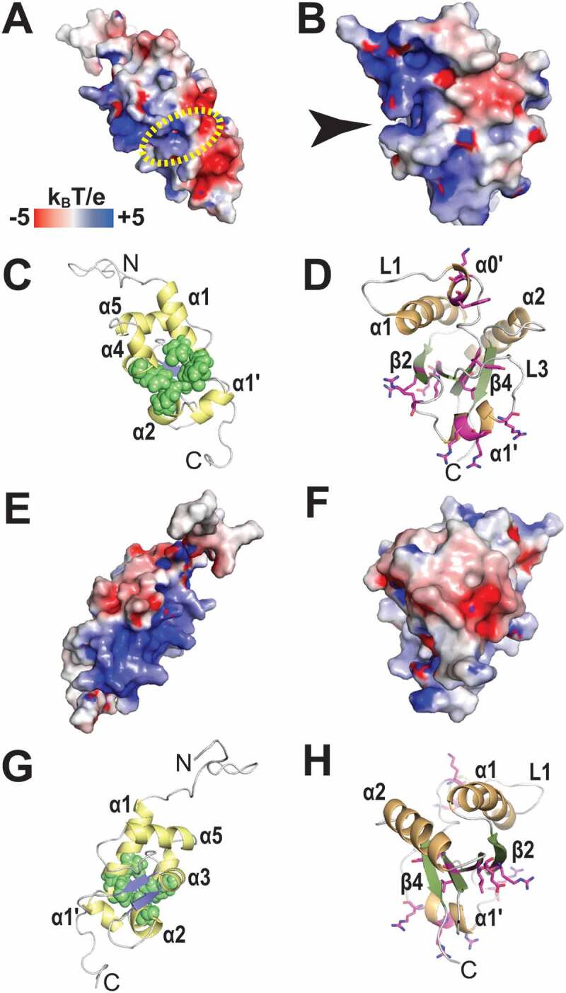 Figure 5.