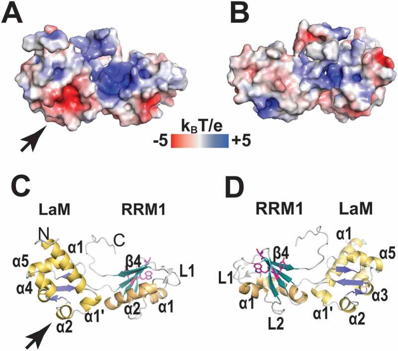 Figure 6.