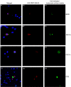 FIG. 6.