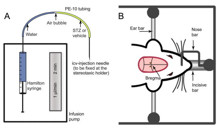 Figure 3.