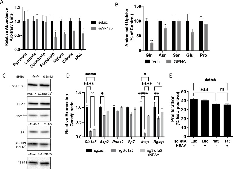 Figure 4—figure supplement 1.