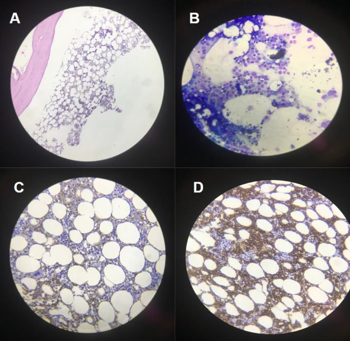 Fig 3: