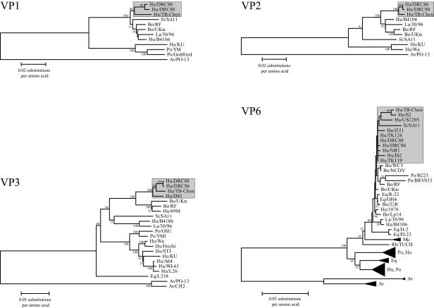 FIG. 2.