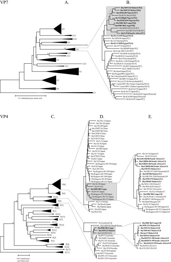 FIG. 1.