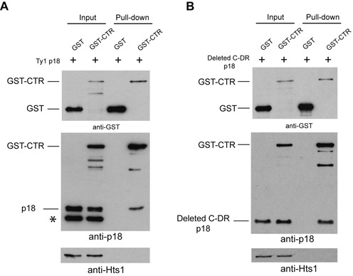 Figure 7.