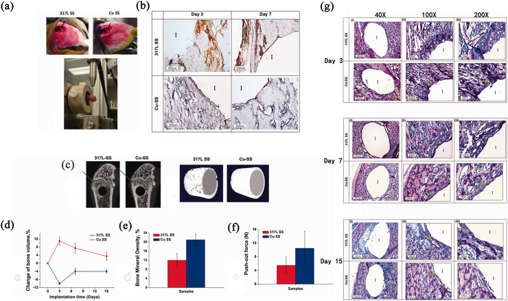 Fig. 12