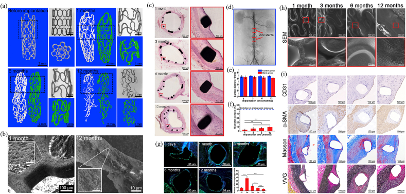 Fig. 21