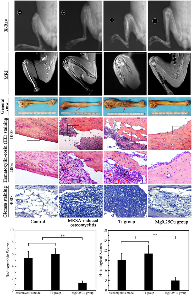 Fig. 23