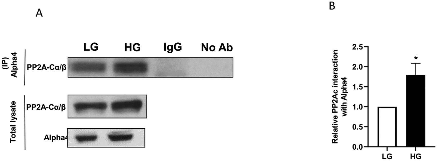 Fig. 9.