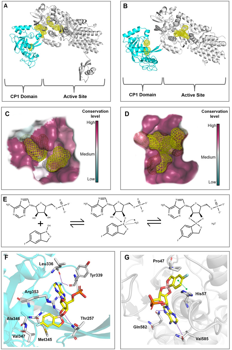 Fig 3