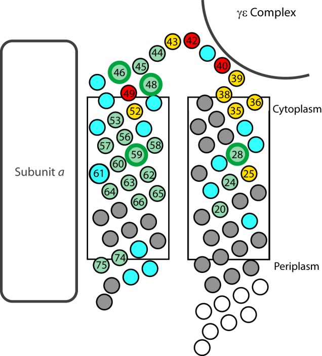 FIGURE 6.