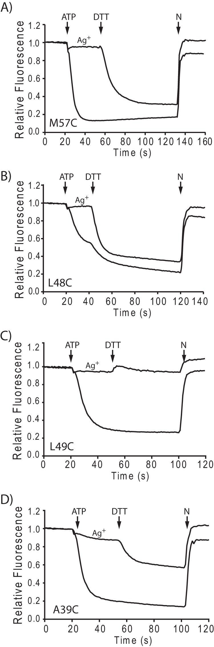 FIGURE 1.