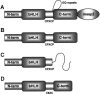 Figure  4