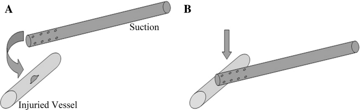 Fig. 2