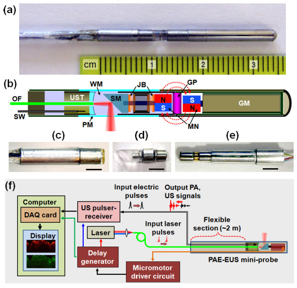 Fig. 1