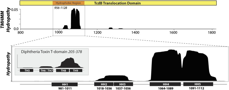 Fig. 1.