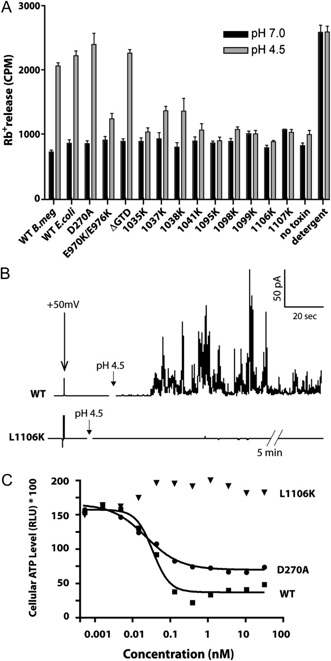 Fig. 3.