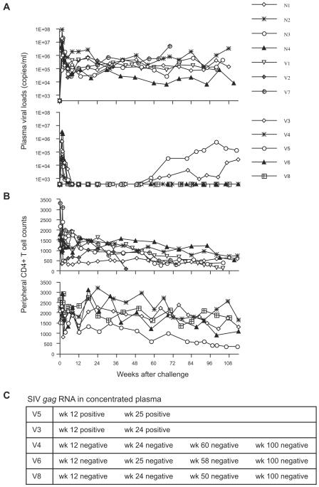 FIG. 1.