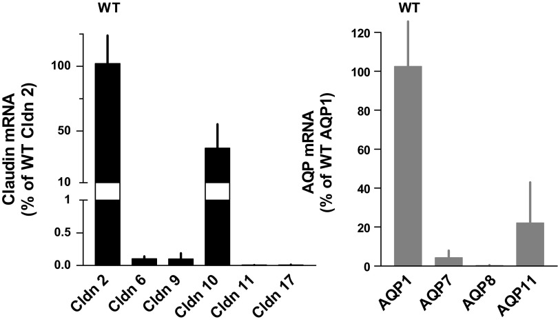 Fig. 10.