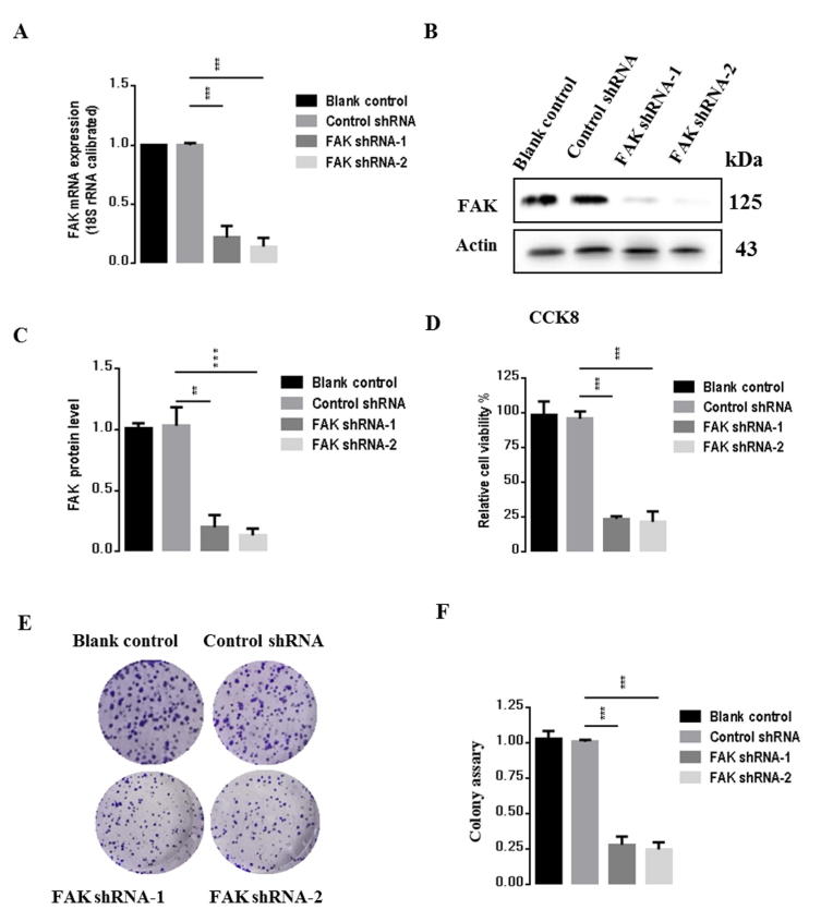 Supplementary Fig. 1