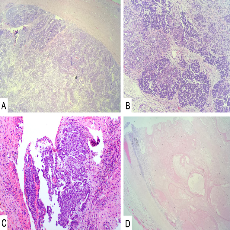 Fig. 5: